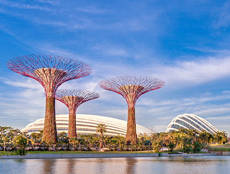 Gardens by the Bay