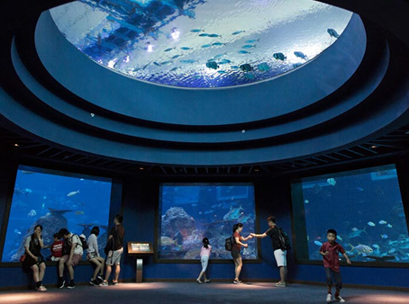 Singapore Oceanarium